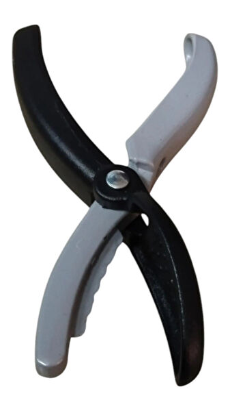 Egeden Kestane Çizici