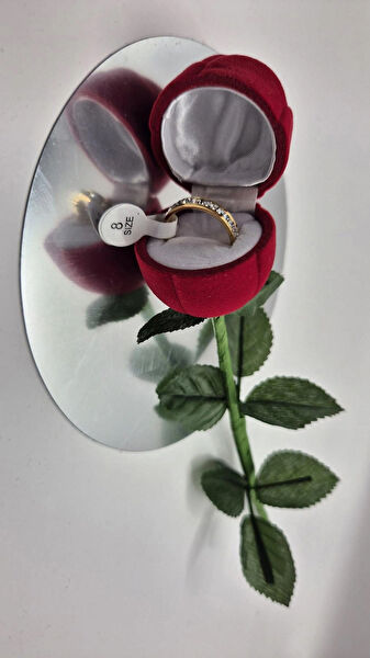 Can Takı Kutusu, Standı