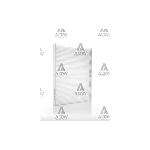 İthal Polen Filtreleri