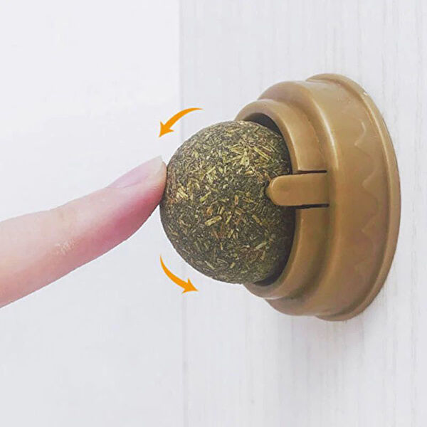 Evimdeyokyok Kedi Oyuncakları