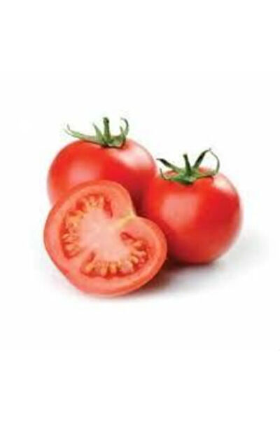 Serdar Çam Tohumculuk Tohum