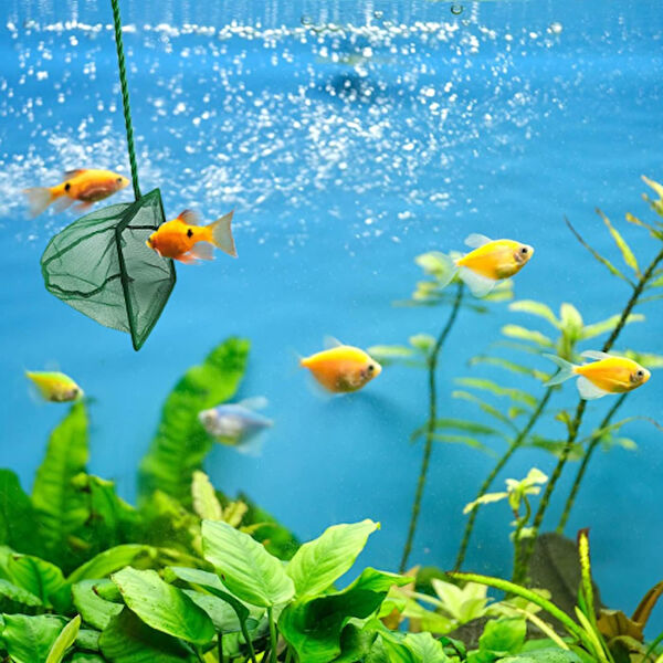 Evimdeyokyok Kepçeler ve Livarlar