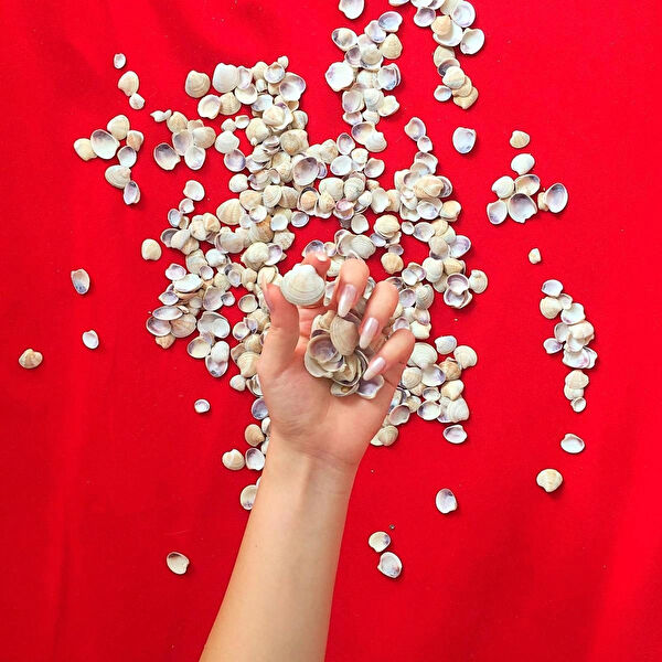 emilysamy Akvaryum Dekoratif Malzemeler