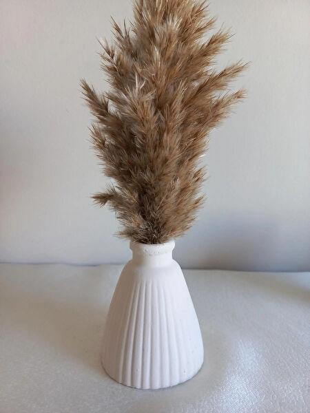 emilysamy Vazo, Saksı