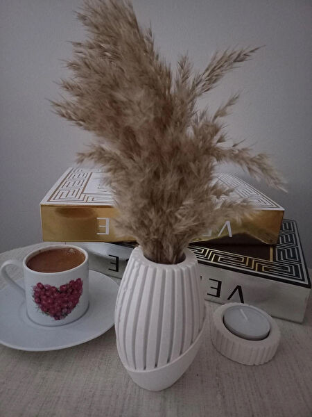 emilysamy Vazo, Saksı