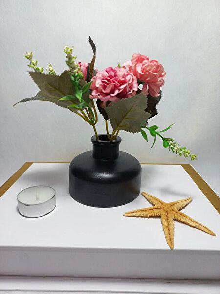 emilysamy Vazo, Saksı