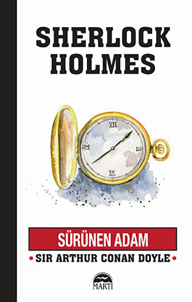 Martı Yayınları Roman