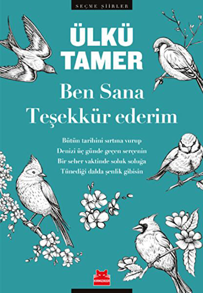 Kırmızı Kedi Yayınevi Roman