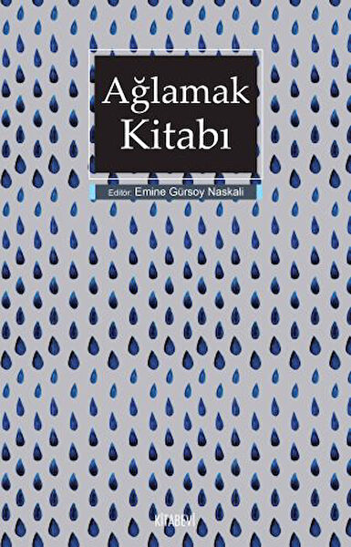 Kitabevi Yayınları Roman