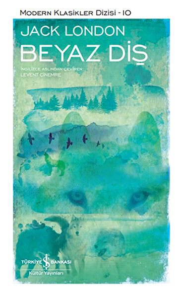 İş Bankası Kültür Yayınları Roman