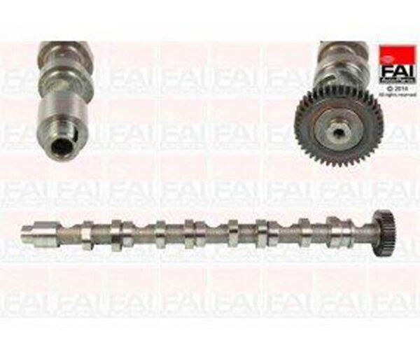 ESTAŞ Eksantrik Mili