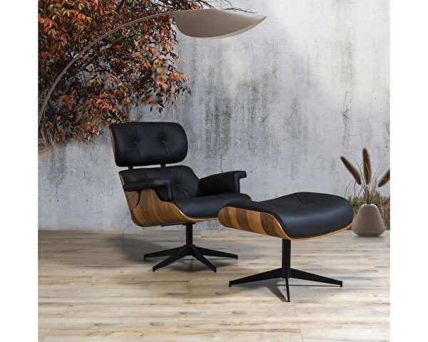 Rhenth Berjer, TV Koltuk