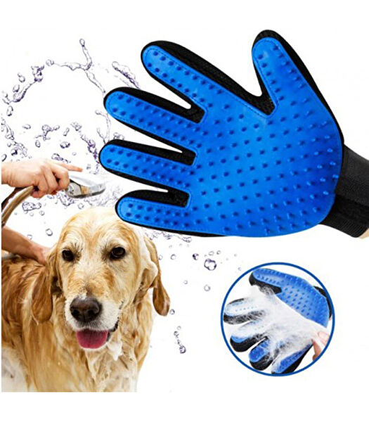 evetuygun Köpek Tarak, Fırça, Makas