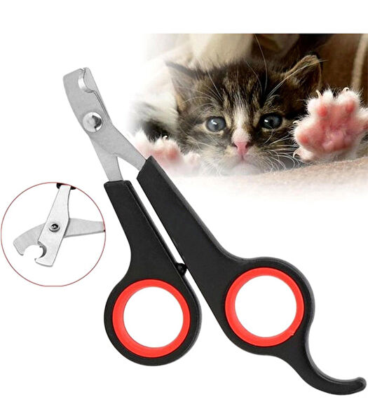 evetuygun Köpek Tarak, Fırça, Makas