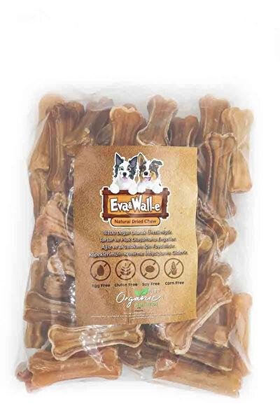 Eva & Wall-e Köpek Kemikleri