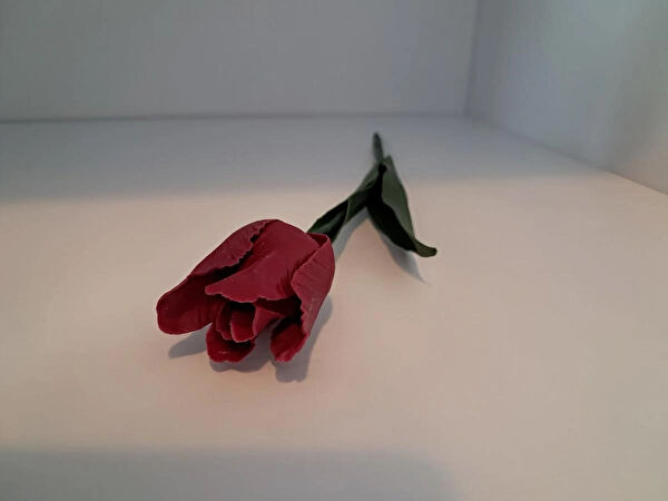 Emira Yapay Çiçek, Meyve