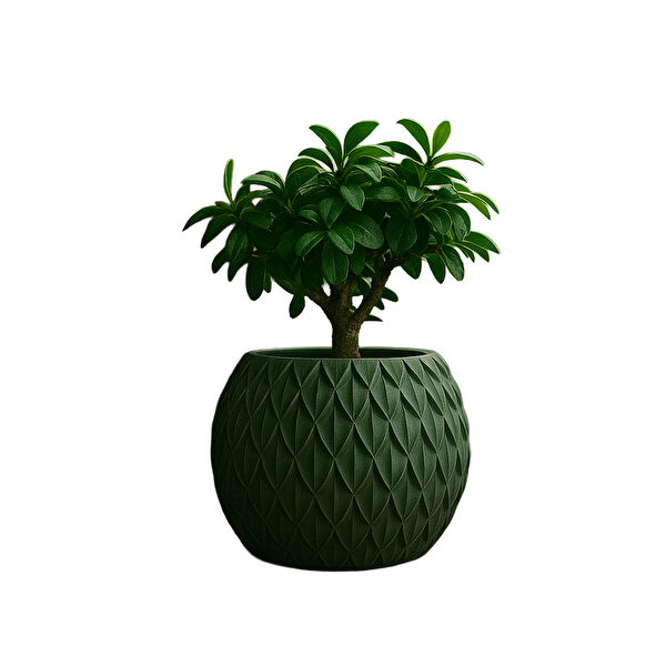 Fibrika Store Vazo, Saksı