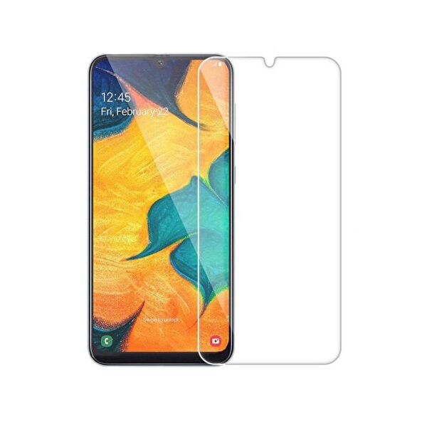 Forzacase Ekran Koruyucu