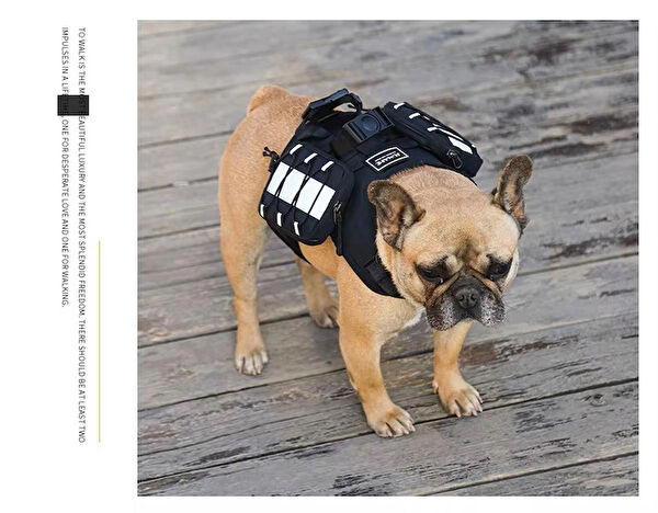 Floria Köpek Taşıma Çantası, Aksesuarları