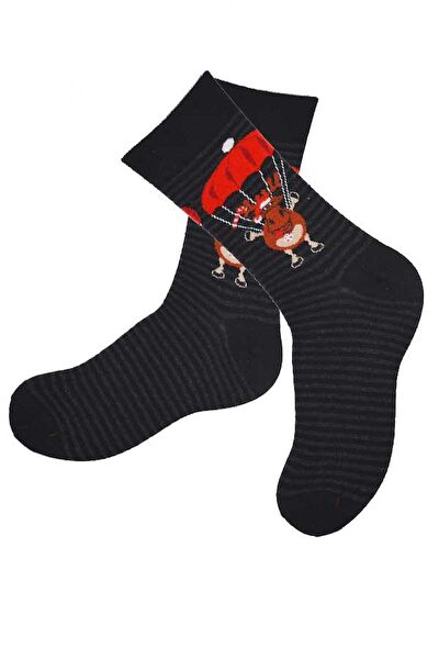 Dode Flora Erkek Çorap