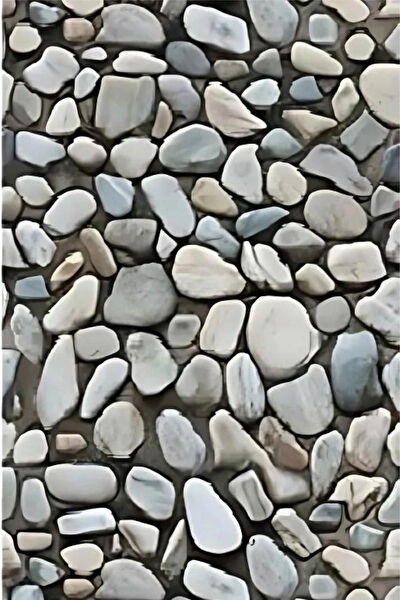 Vekorr Duvar Kağıdı