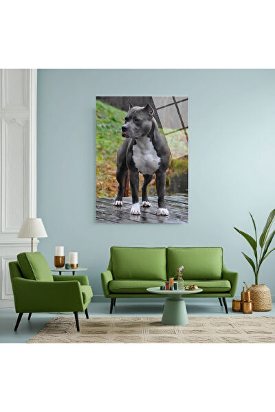 Frog Concept Cam Tablo