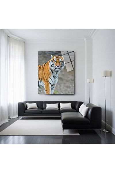 Frog Concept Cam Tablo