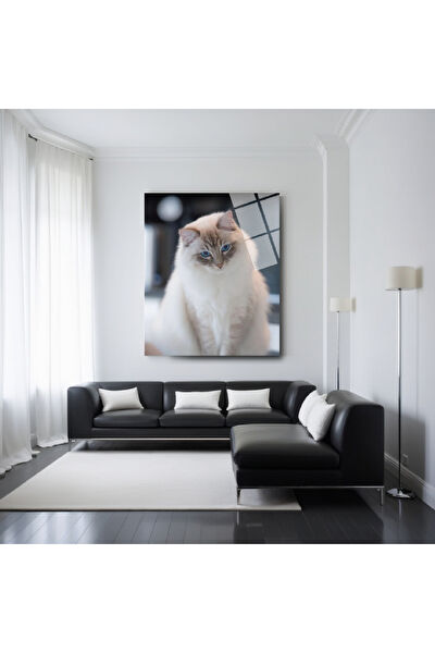 Frog Concept Cam Tablo