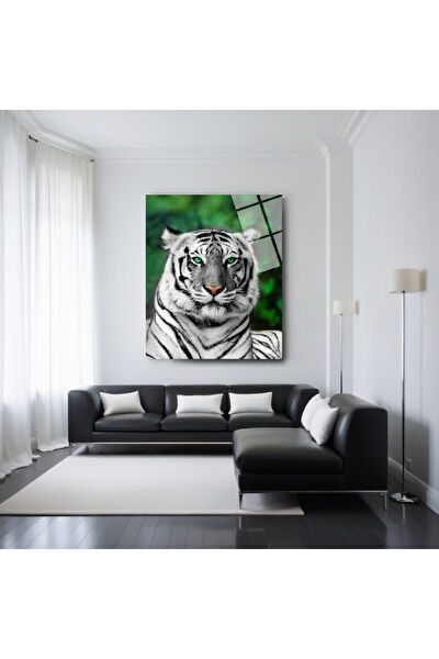 Frog Concept Cam Tablo