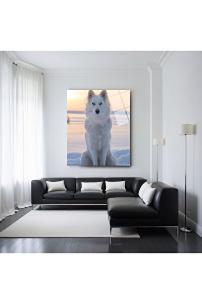 Frog Concept Cam Tablo