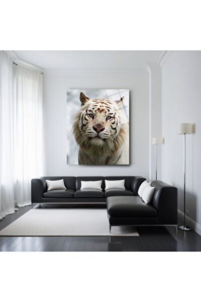 Frog Concept Cam Tablo