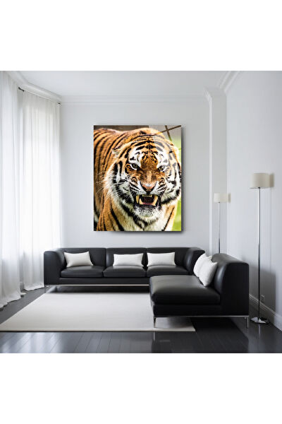 Frog Concept Cam Tablo