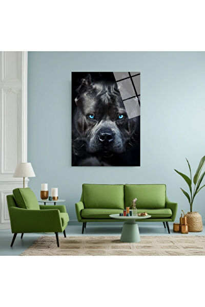 Frog Concept Cam Tablo