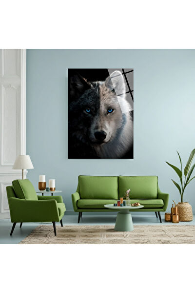 Frog Concept Cam Tablo