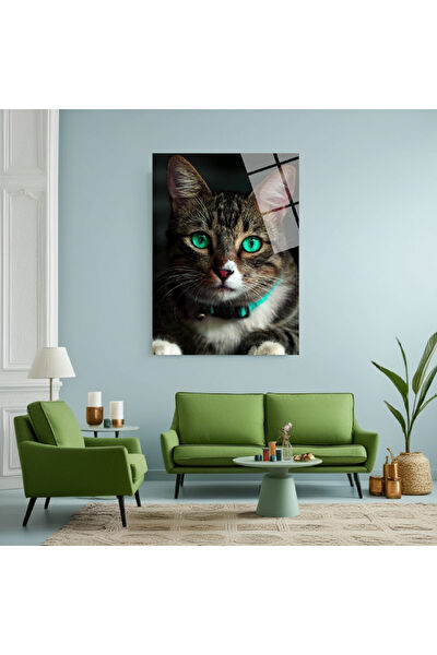 Frog Concept Cam Tablo