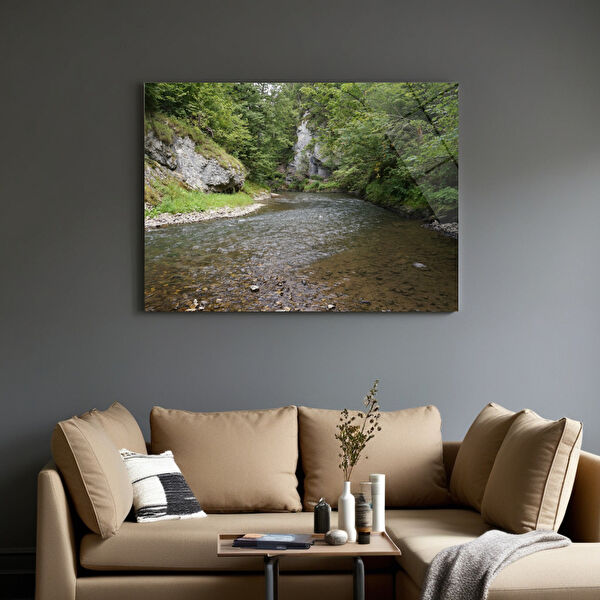 Frog Concept Cam Tablo