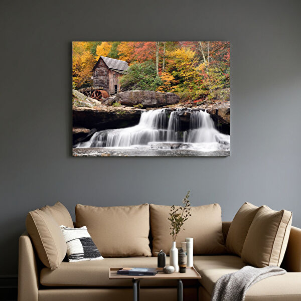 Frog Concept Cam Tablo