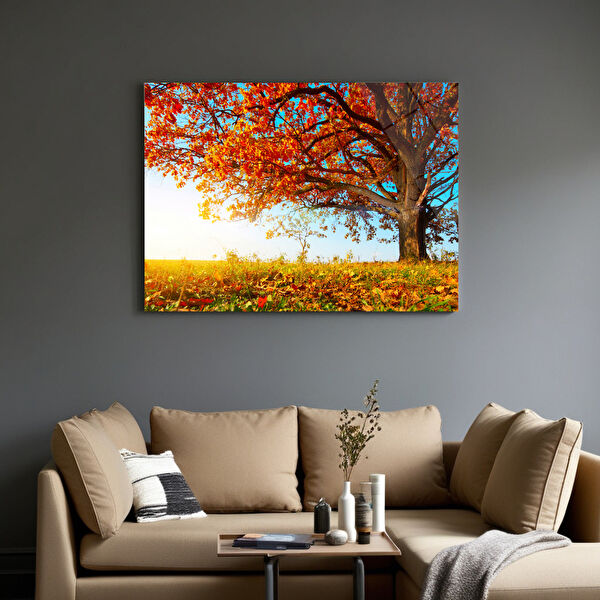 Frog Concept Cam Tablo