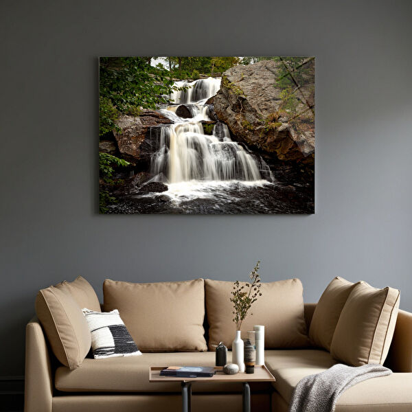 Frog Concept Cam Tablo