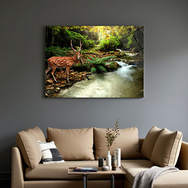 Frog Concept Cam Tablo