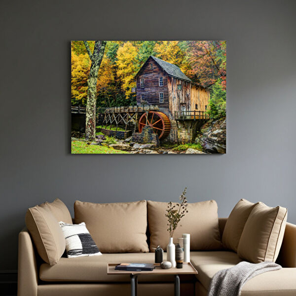 Frog Concept Cam Tablo