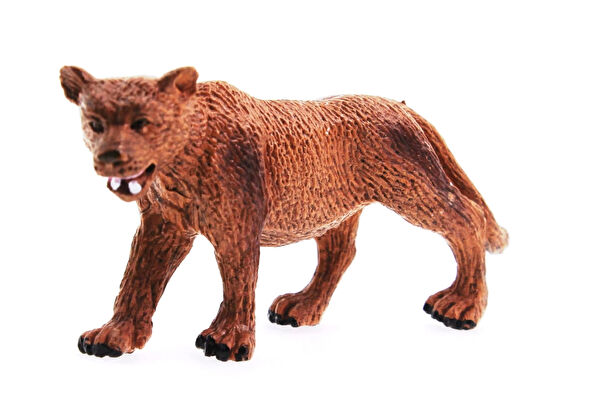 FEİFEİ Eğitici Oyuncaklar