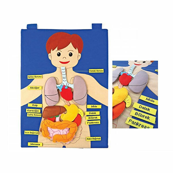 FEİFEİ Eğitici Oyuncaklar