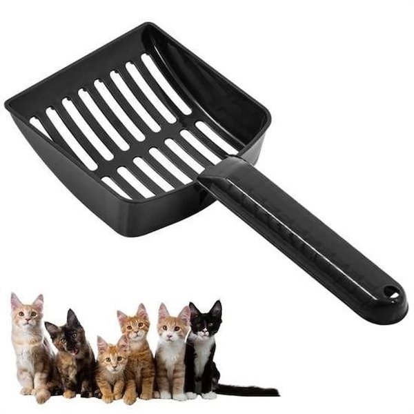 İsmiyle Al Kedi Tuvaleti, Aksesuarları