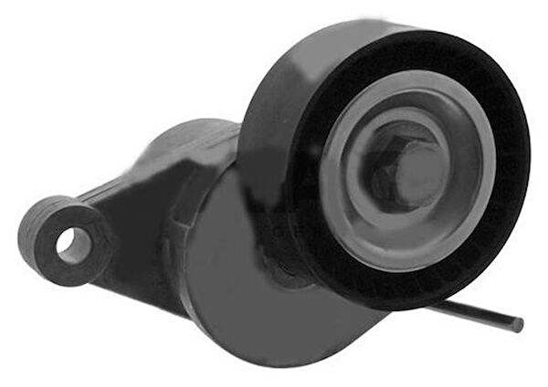 Gates Alternatör Rulmanı