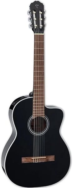 Takamine Gitar
