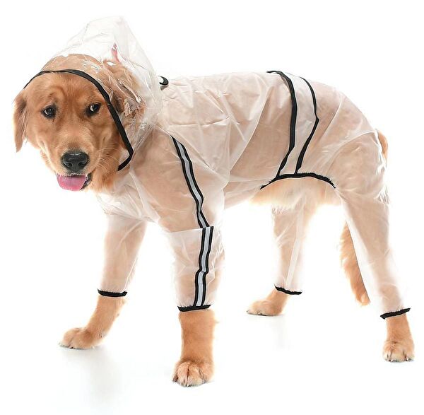 Petza Köpek Elbisesi