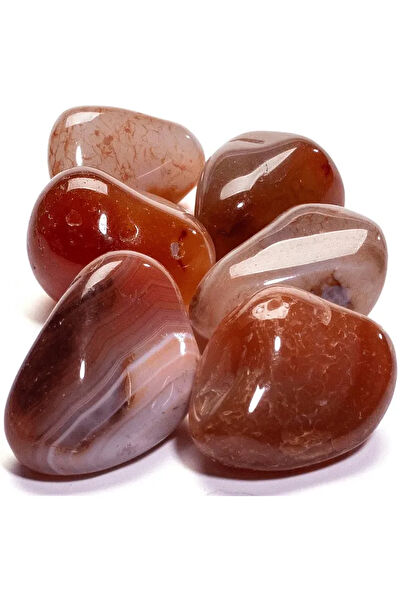 Erilsa Dekoratif Obje, Biblo, Figür