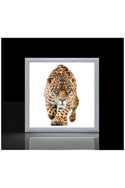 Gökyüzü Panel Avize, Sarkıt