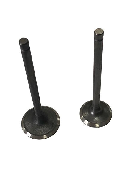 Msr Krank, Piston ve Contalar